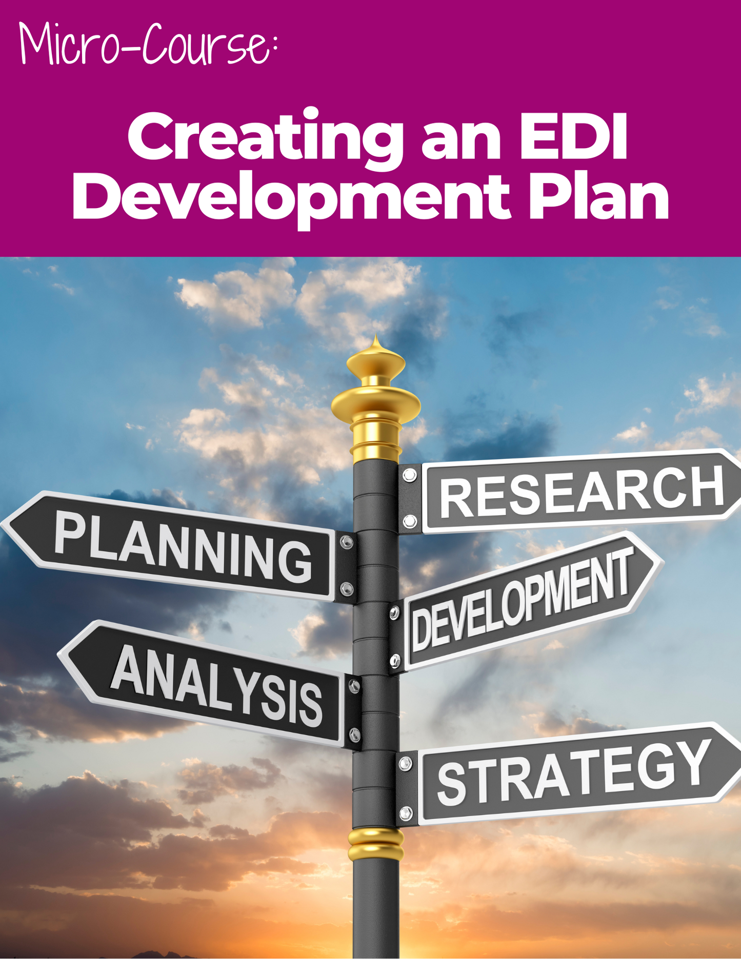 Creating an EDI Development Plan