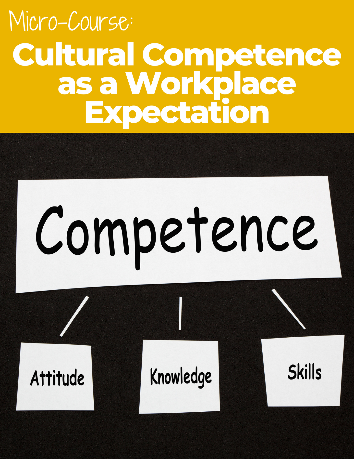 Cultural Competence as a Workplace Expectation